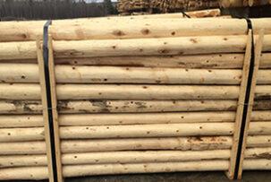 Cedar Posts