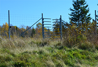 Wildlife Fences